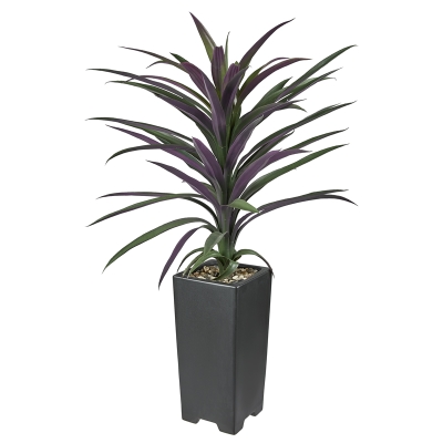 Planta Aloe con Macetero Negro 35"