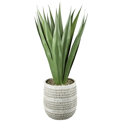 Planta Agave con Macetero Blanco 36"