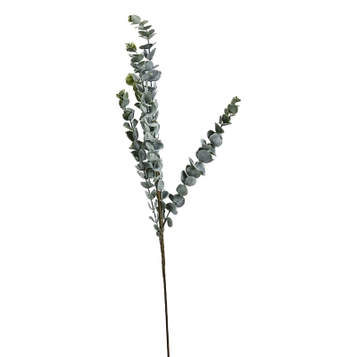 Rama Eucalípto 30"