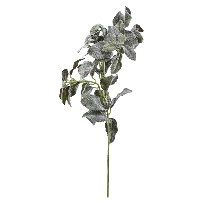Rama Hoja Loto Dorada 10"