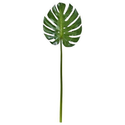 Rama Monstera 35"