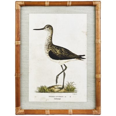 Cuadro Anatra B MDF 18x24"