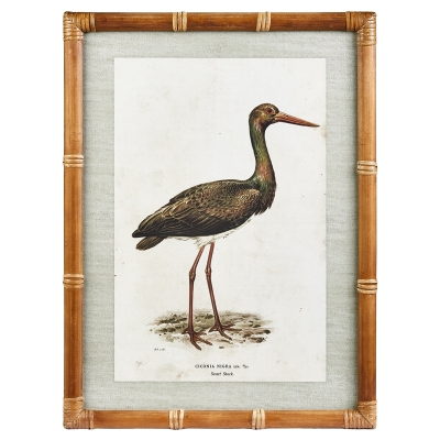 Cuadro Anatra C MDF 18x24"