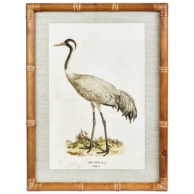 Cuadro Anatra D MDF 18x24"