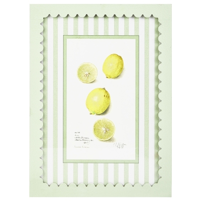 Cuadro Limone A MDF 13x17"