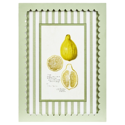 Cuadro Limone C MDF 13x17"