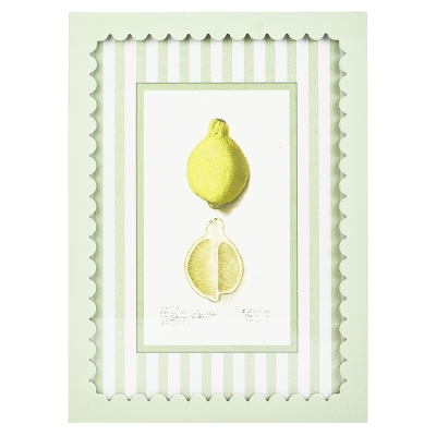 Cuadro Limone D MDF 13x17"
