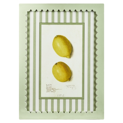 Cuadro Limones MDF E 13x17"