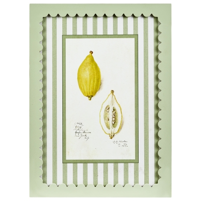 Cuadro Limone F MDF 13x17"