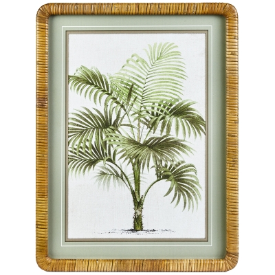Cuadro Palm D MDF 18x24"