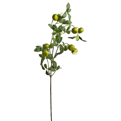 Rama Limones 31"