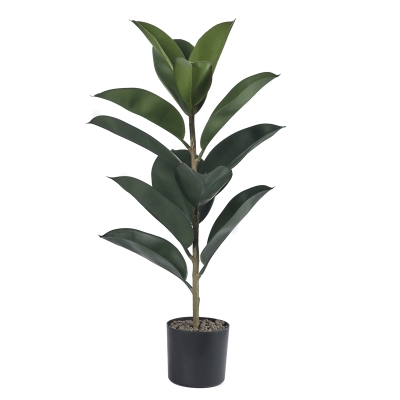 Planta Ficus Elastica 28"