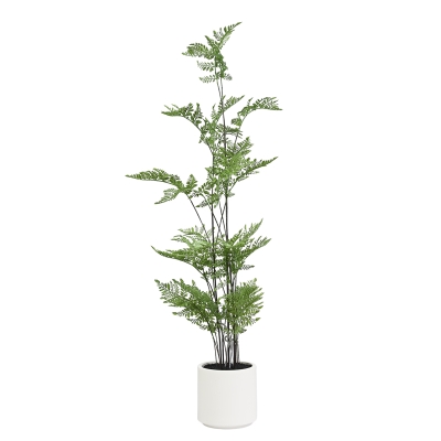 Planta Helecho Macetero Cerámica 41"