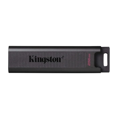 Memoria USB 256GB Generación 2 Kingston DTMAX/2