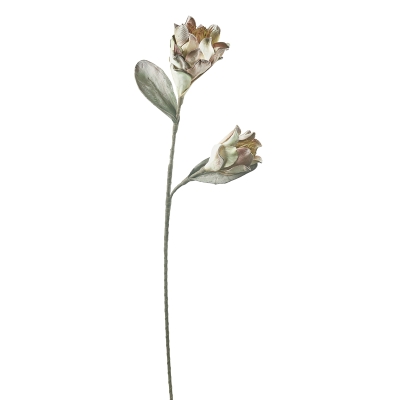 Rama Protea Cynaroides 39x10"