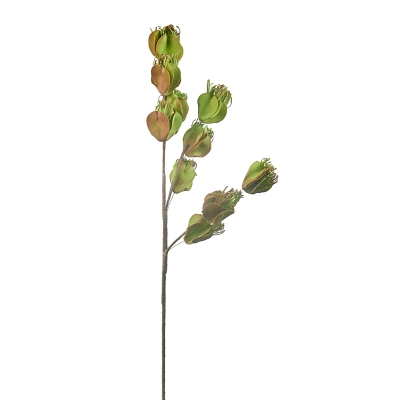 Rama Vara de Oro Verde 36x11"